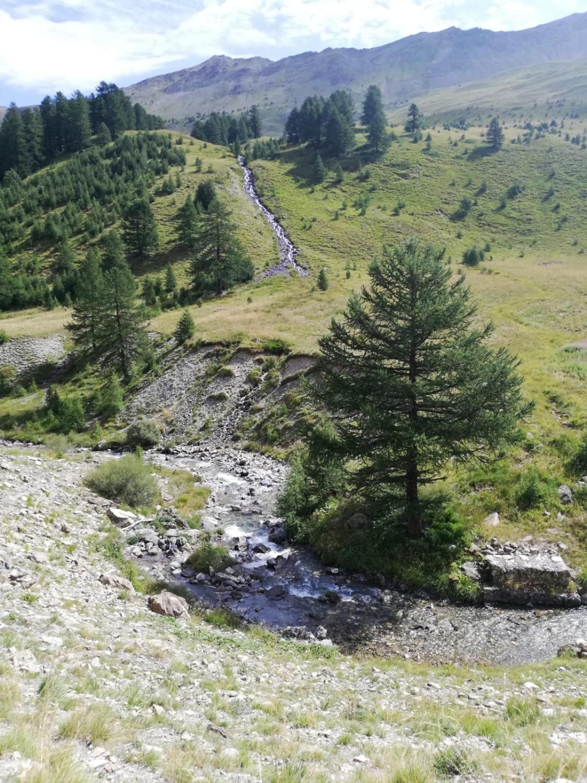 App Vue Montagne Barcelonnette Proche Piscine Rando Riviere Nature Extérieur photo